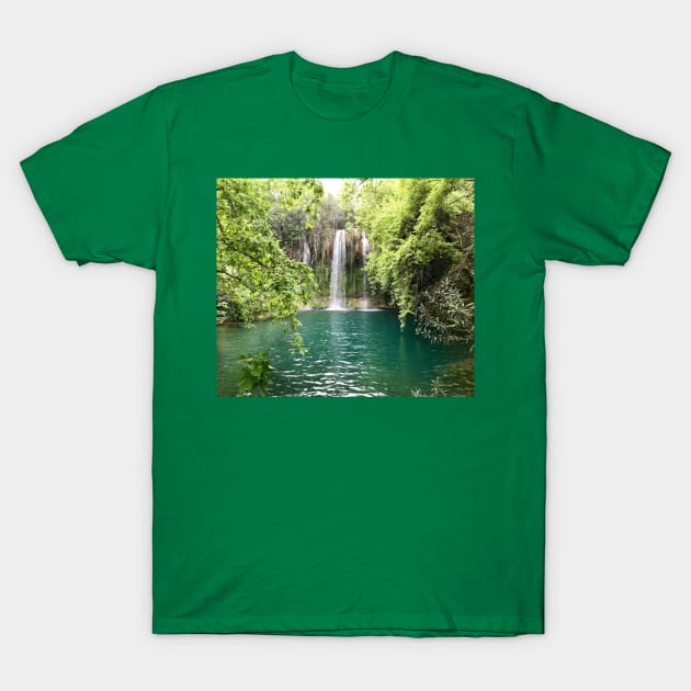 Waterfall T-Shirt by CindersRose
